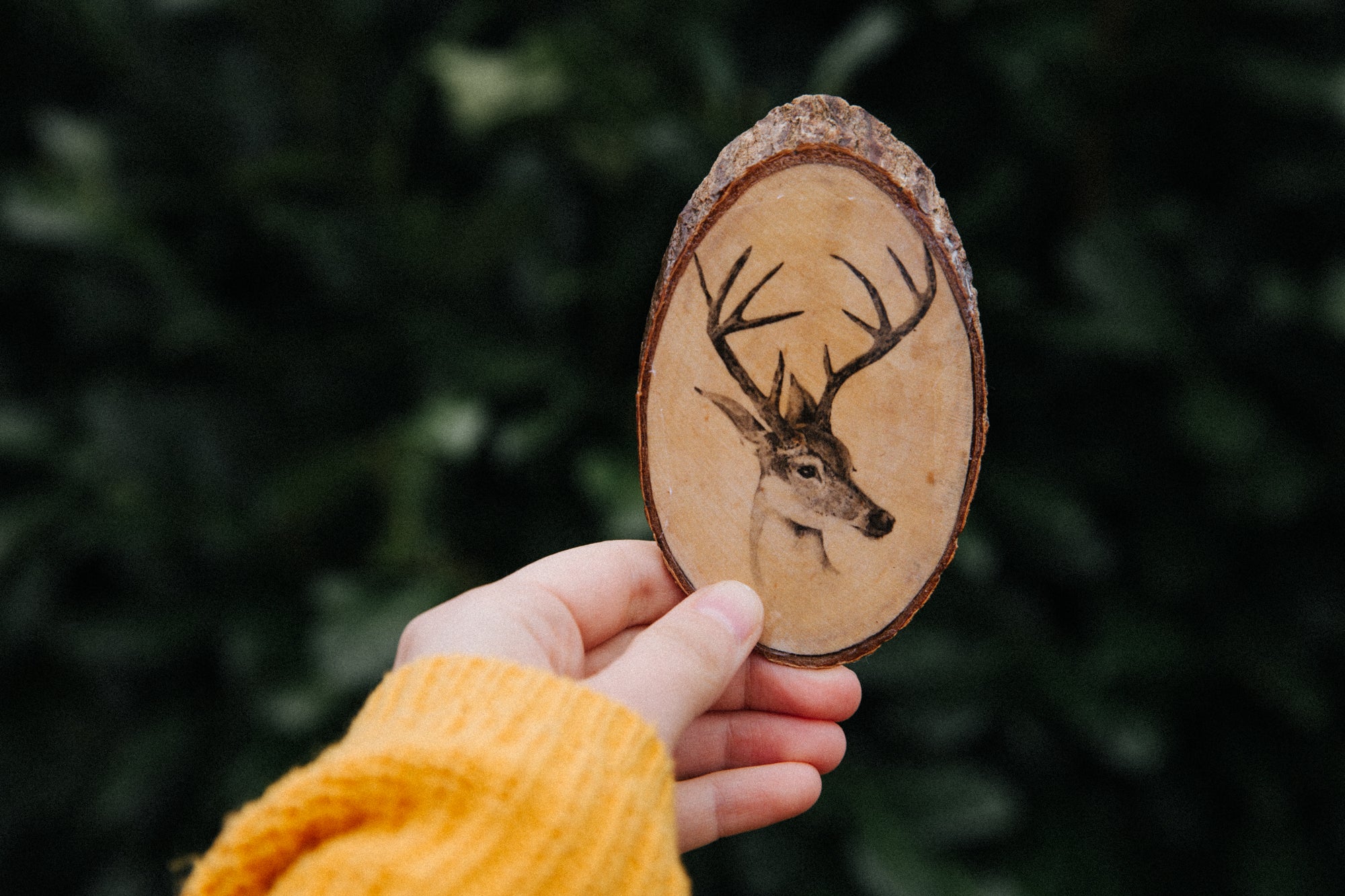 DIY: HOLZTRANSFER VON NATURMOTIVEN