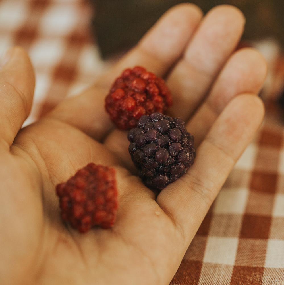 WACHS-MELTS WALDBEEREN