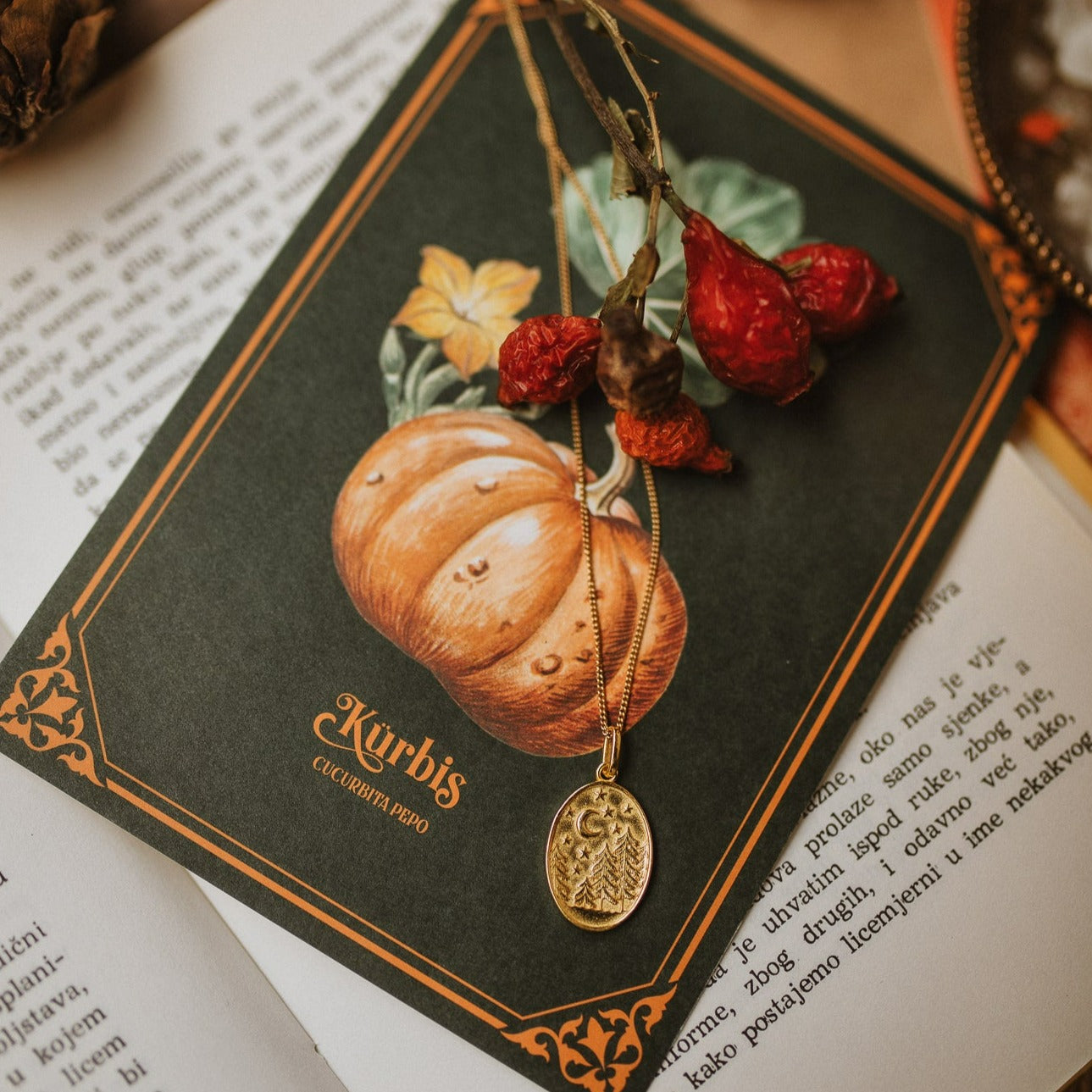 POSTCARD PUMPKIN