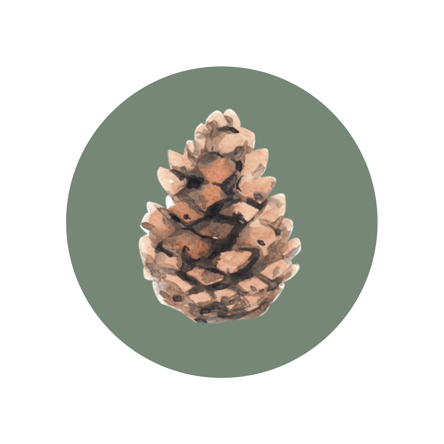 STICKER PINE CONES