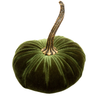 VELVET PUMPKIN FOREST GREEN