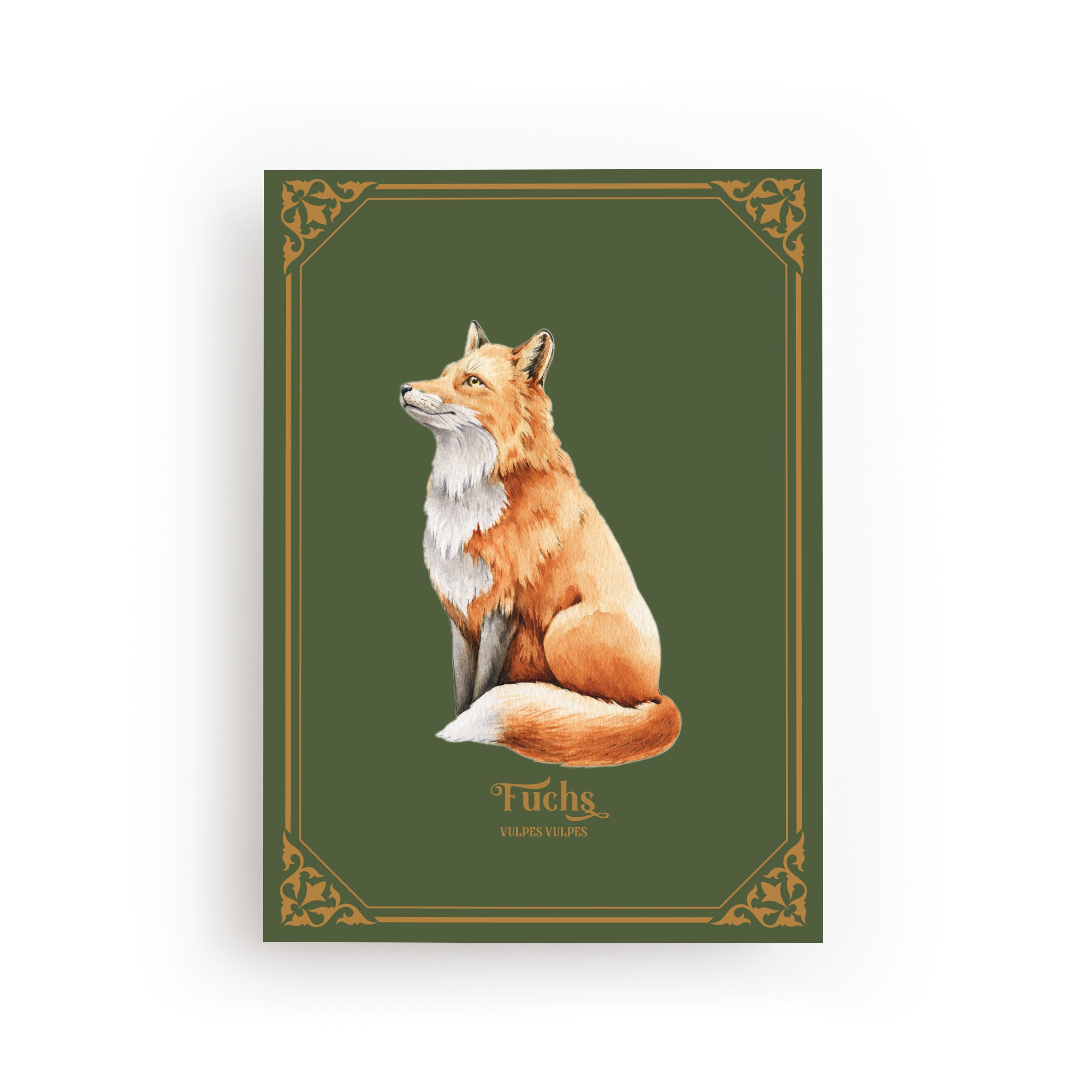 POSTCARD FOX