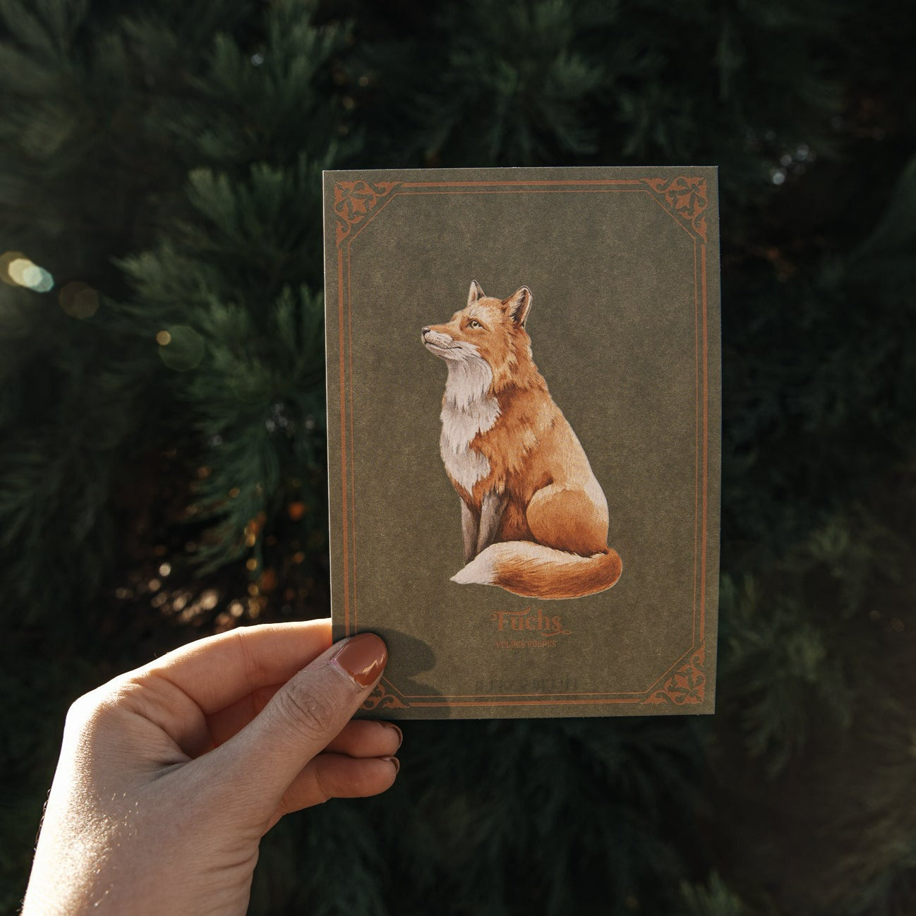 POSTCARD FOX