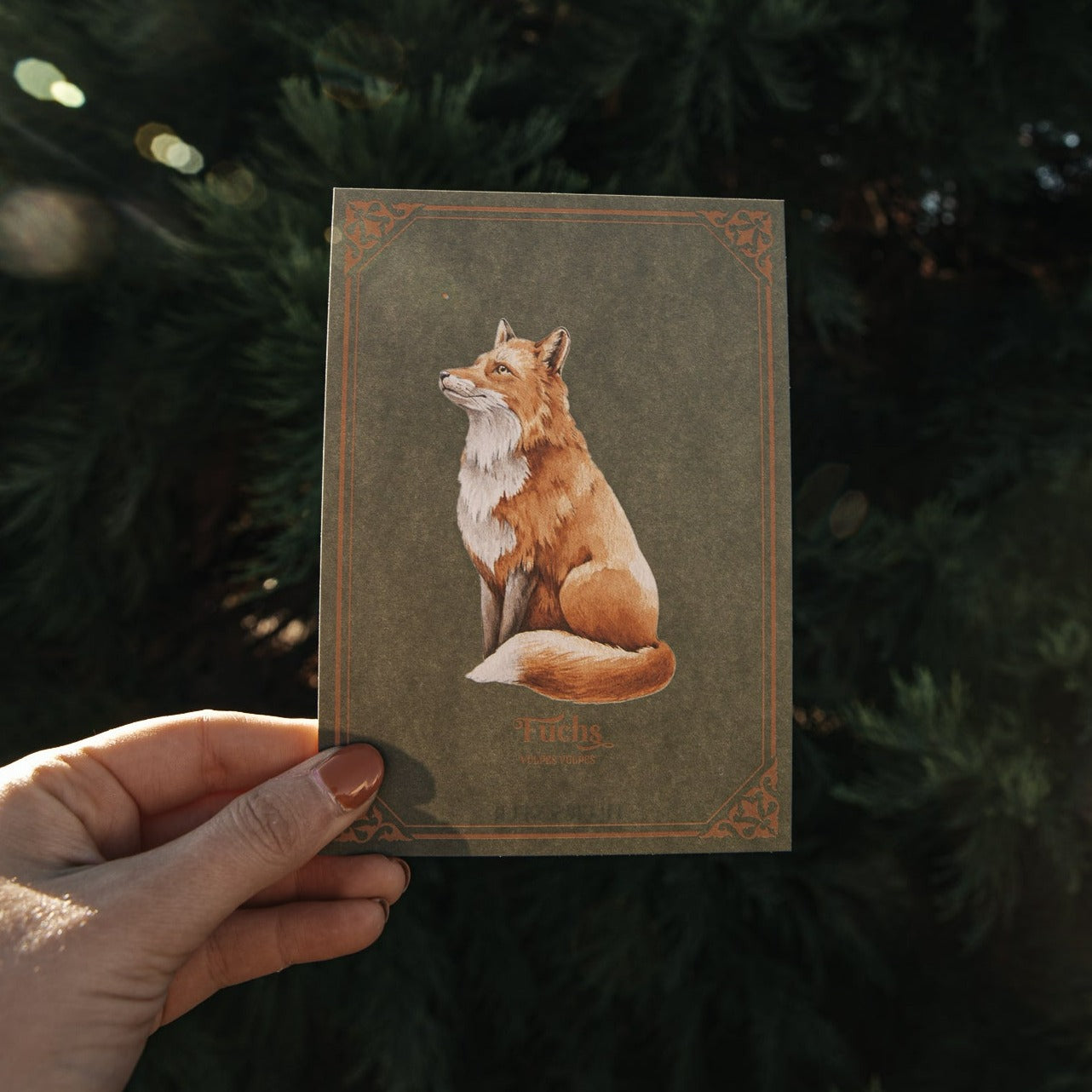 POSTCARD FOX