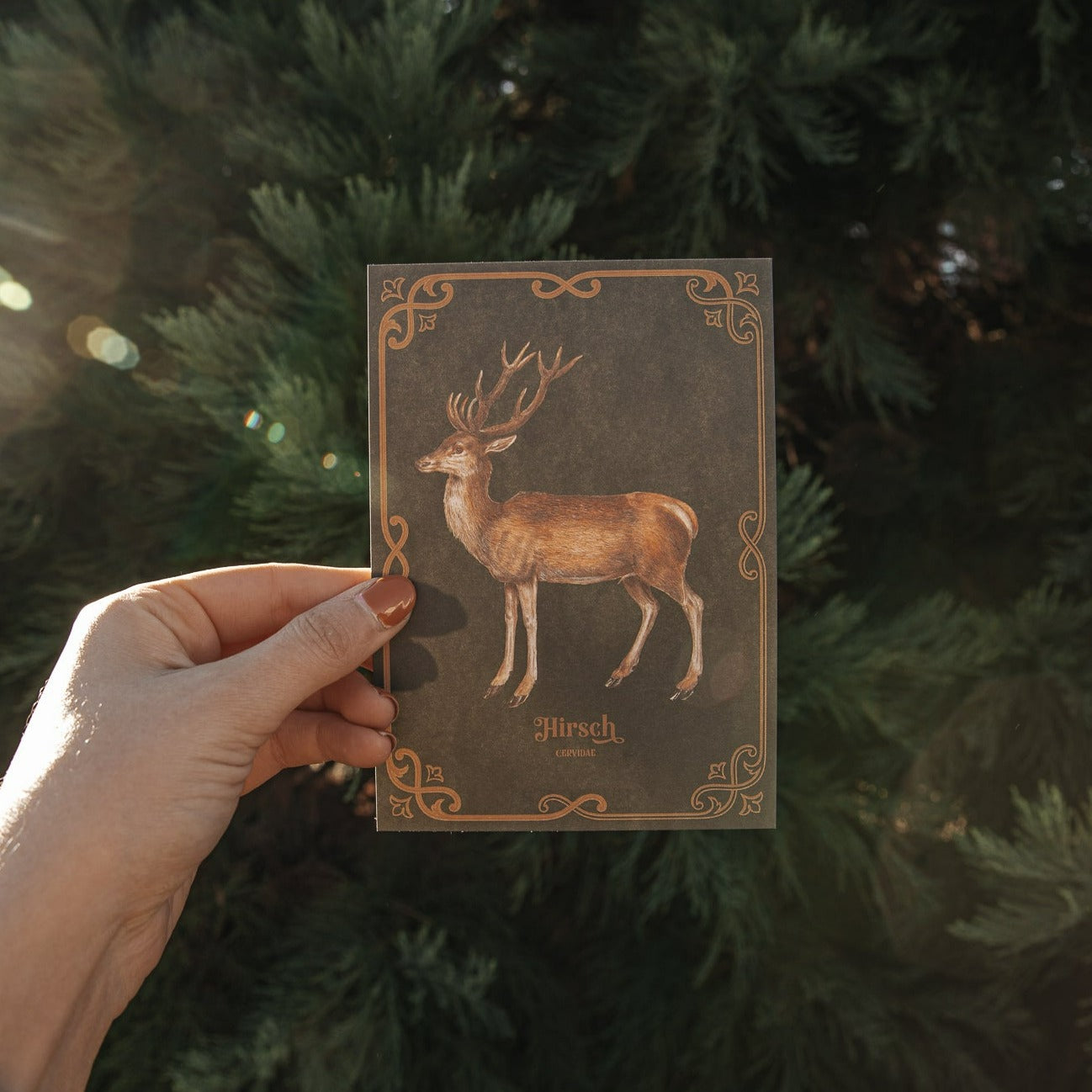 POSTCARD DEER