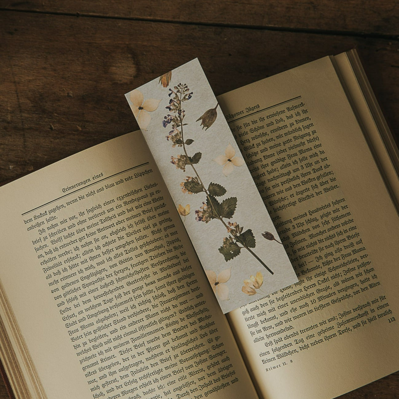 BOOKMARK PRESSED FLOWERS and LEAVES