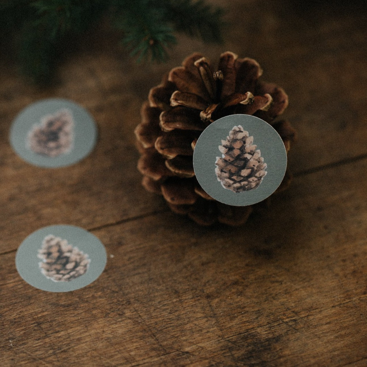 STICKER PINE CONES