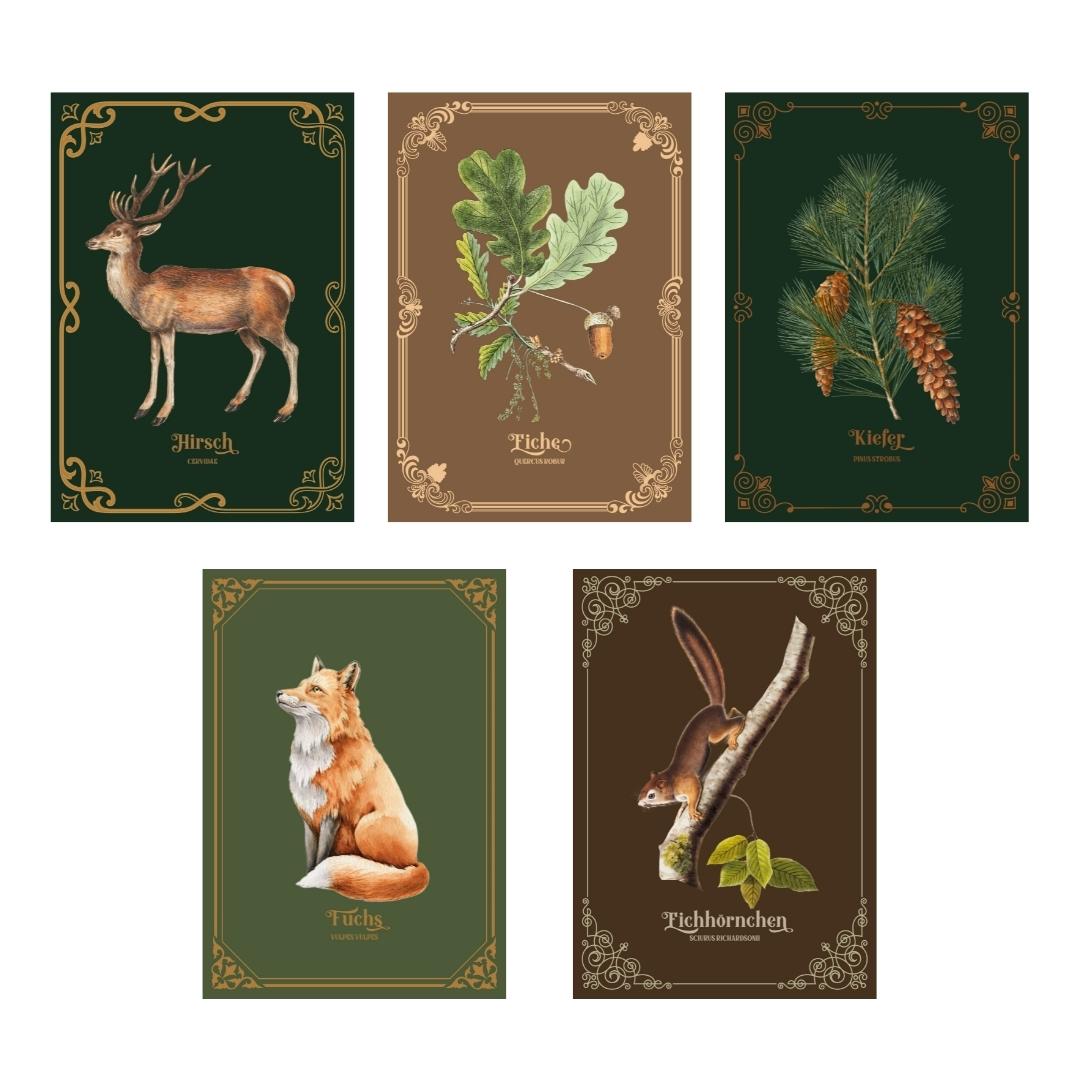 FOREST POSTCARD SET